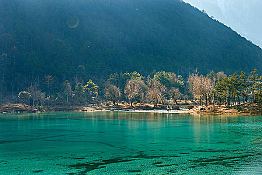 soi cau lô bạch thủ