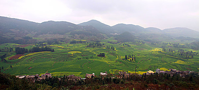 cau lo mien phi