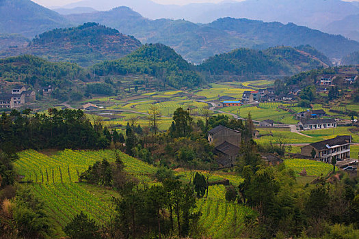 điện toán 123