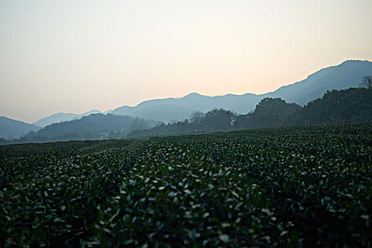 xskt binh duong