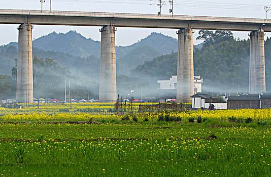 soi cầu miền bắc 888