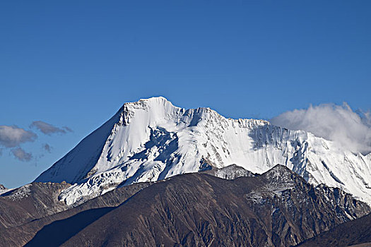 lo đe 88