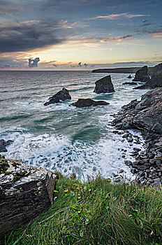 soi cau bach thu khung 5 ngay