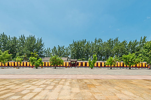 soi cau chinh xac