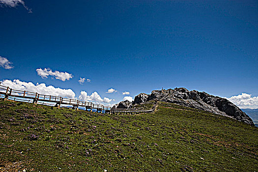soi cau bach thu khung 5 ngay