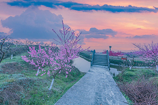 cau lo bach thu khung 3 ngay