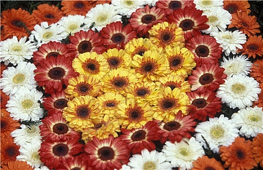 xổ số miền nam thứ