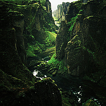 bach thu lo kep