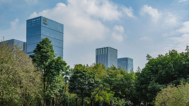 soi cau chuan 888
