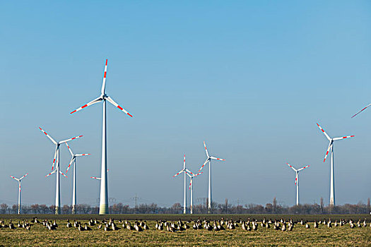kết quả xổ số power