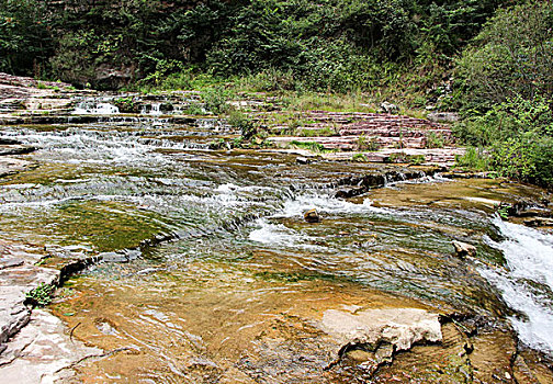 soi lo bach thu
