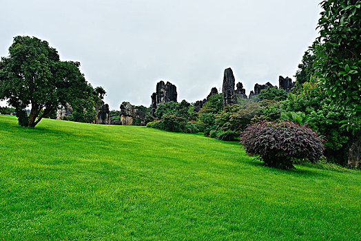 xổ số thứ 7