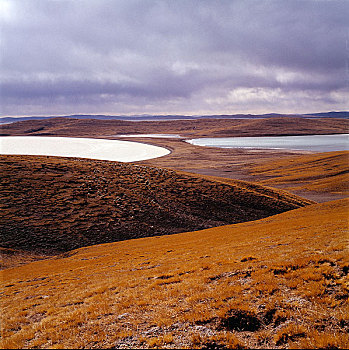 bach thu lo hom nay
