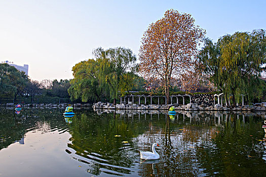 lô đề học