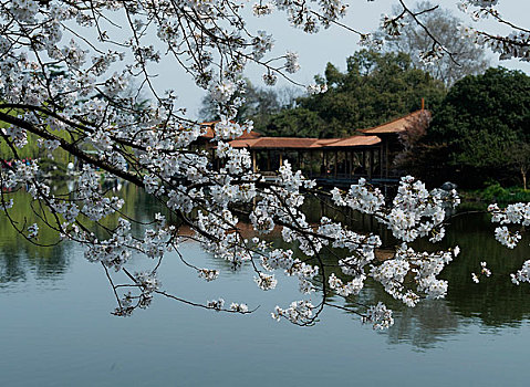 lô gan miền bắc