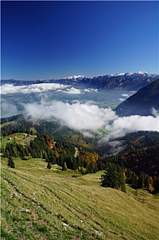 du doan kqxs rong bach kim