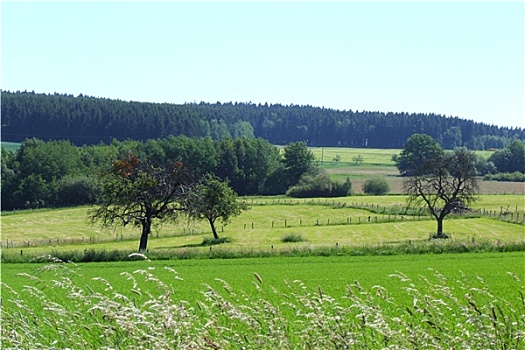 du doan xs 3 mien mien phi