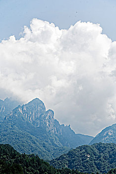 ketqua net