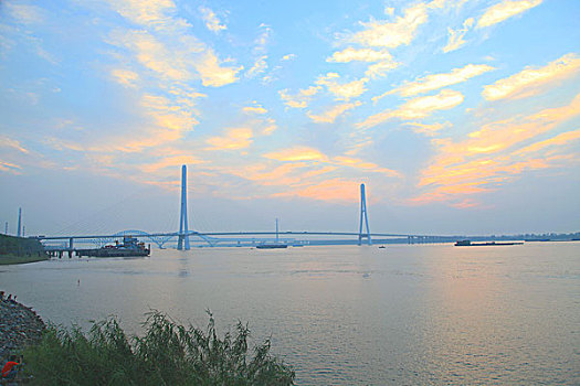 soi lo rong bach kim