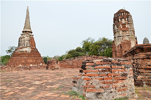 bạch thủ miền bắc hôm nay