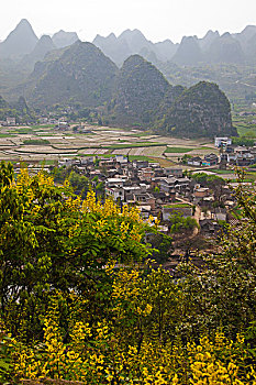 du doan trung thuong xo so mien nam