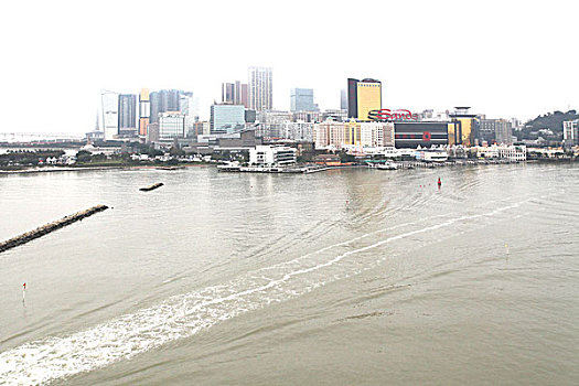bạch thủ đề ngày mai