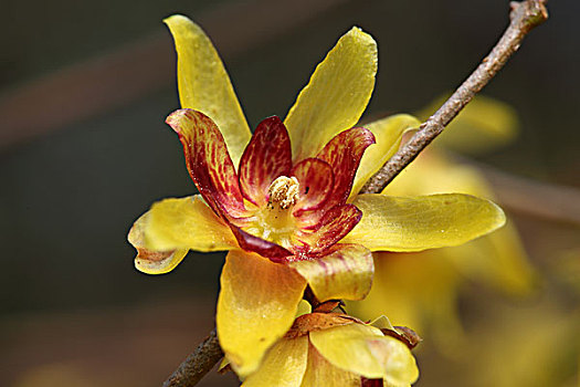 lô đề miền bắc
