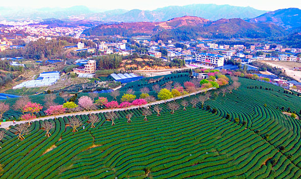 du doan kqxs bac trung nam