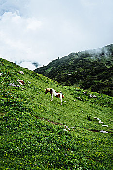 soi cau 888 bach thu hom nay