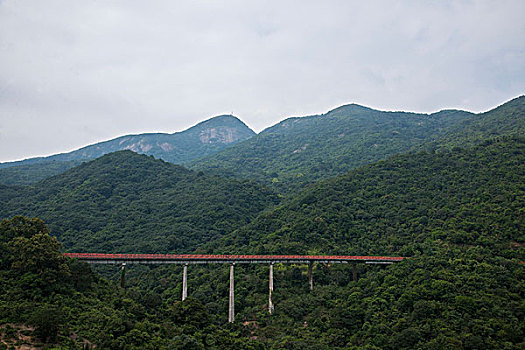 bạch thủ lô đề hôm nay