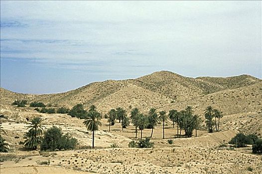 du doan lo kep