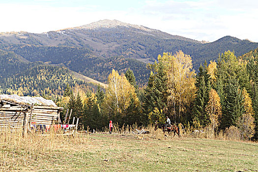 xsmb thu 5 du doan