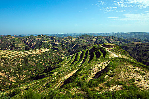 soi cau sieu chuan mb