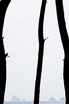 xsmb thu 4 hang tuan