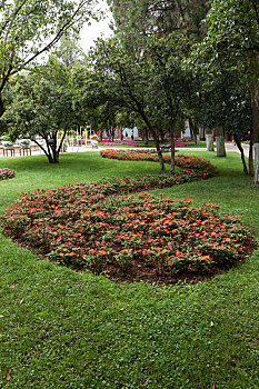 xs hậu giang