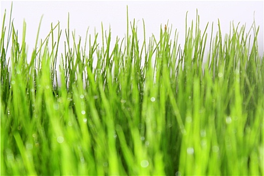 tra cứu xổ số