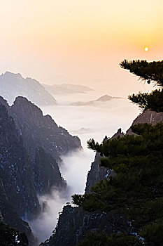 soi cầu bạch thủ 247
