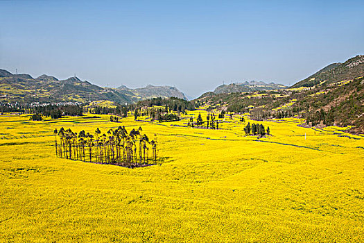 cách đánh đề có lãi