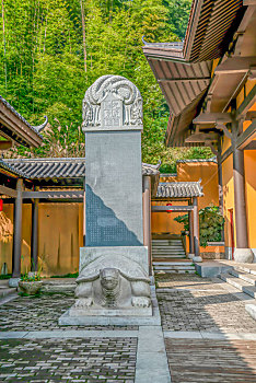 soi cau lo chinh xac