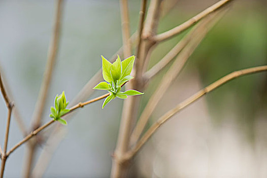 kết quả xổ số đà nẵng
