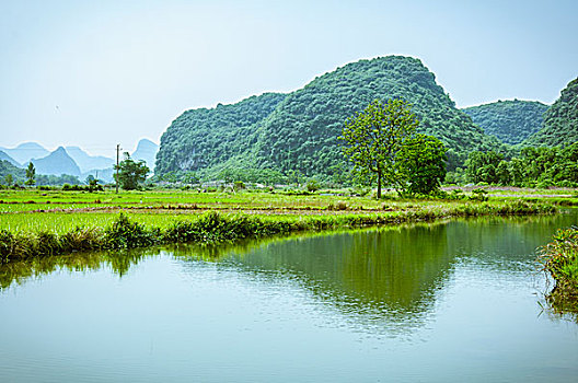 xổ số trực tiếp miền bắc minh ngọc