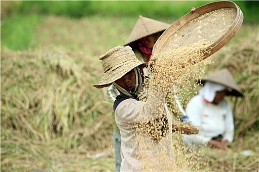 soi cầu lô đề bạch thủ