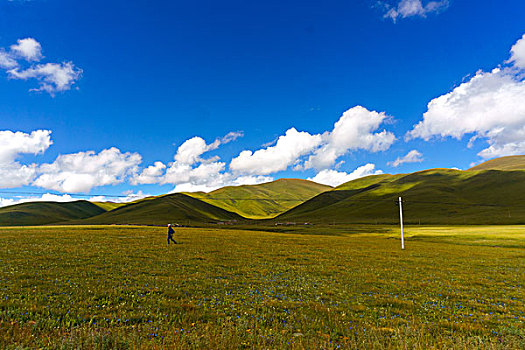 du doan mb rong bach kim