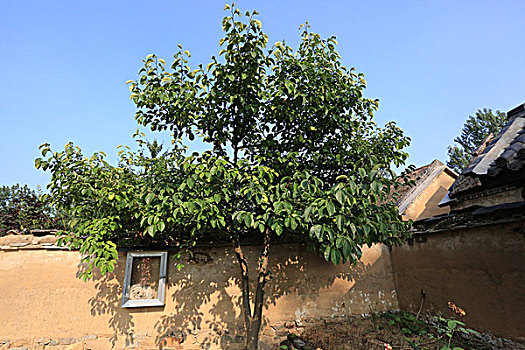 soi cau binh dinh