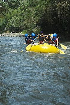 soi cau kg