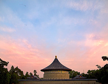 soi cau 568