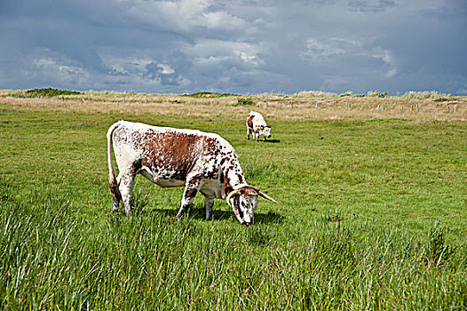 du doan xs ba mien