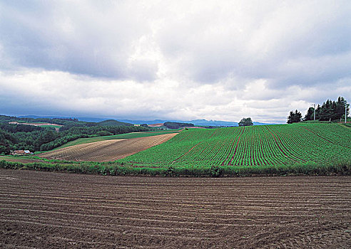 kqxs da lat