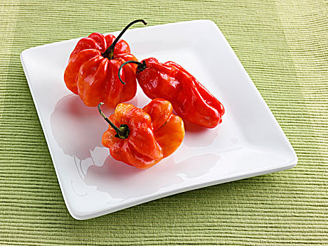 kết quả xổ số bạc liêu