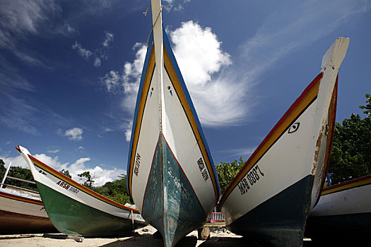 soi cau rong bach kim 888